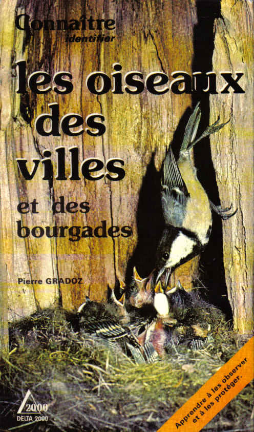 oiseaux_des_villes